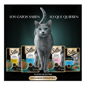 Los Gatos Saben