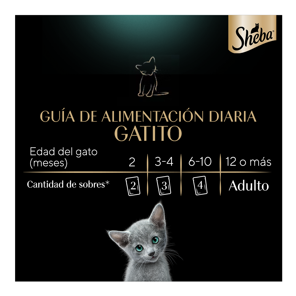image Feeding%20Guidelines%20GATITO