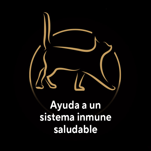 Ayuda a un sistema inmune saludable