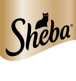 5 logo